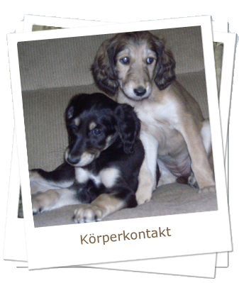 Körperkontakt